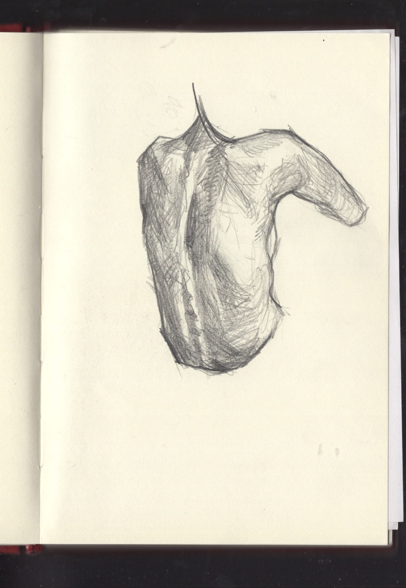 扫描 42