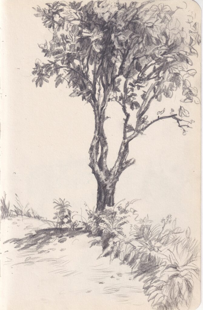 扫描 80